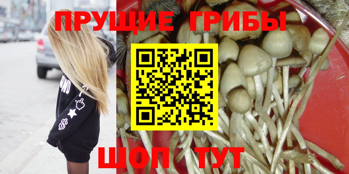 Псилоцибиновые грибы GOLDEN TEACHER Ялуторовск