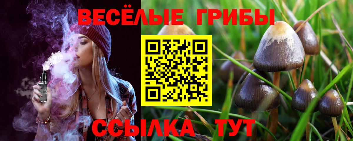 Псилоцибиновые грибы Psilocybine cubensis  Вход с VPN  Ялуторовск 